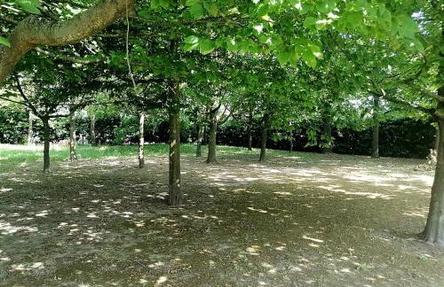 Orizzonte Marino Giallo Angolo solare verso la laguna - Foto 18