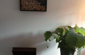 Sotto La Vigna Charm Stay Adults only vacation Appartement Hayloft - Foto 26