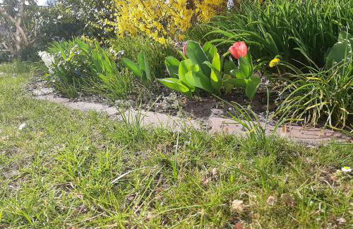 Gartenblick Trebbin - Foto 6