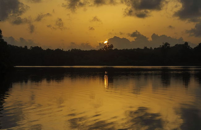 LilyPod Villa - Photo 34