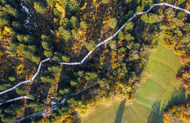 Renovated 3 Rooms Apartment in Ruschein Near Laax - Foto 39