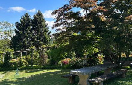 Casa Luciana - Photo 32