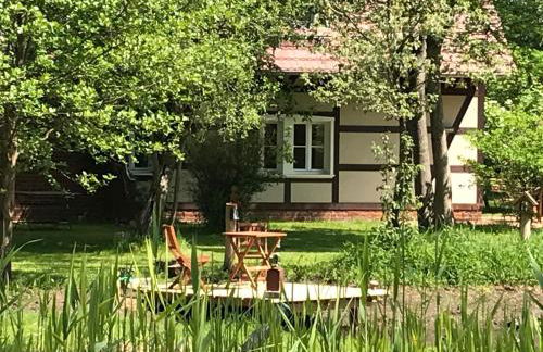 Spreewaldinsel Leipe - Foto 36