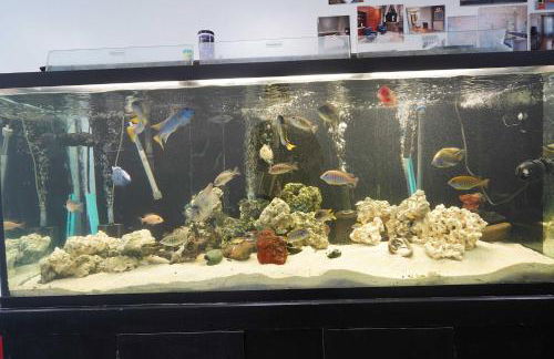 New Loft 3 min to CMU Pitt Sleeps 4 - Foto 9