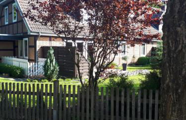 Sonnenschein - Foto 4