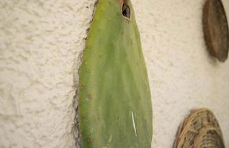 Gariga Holidays Apartments - Foto 26