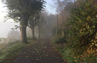 Ferienhaus Lindenallee 20 - Foto 20