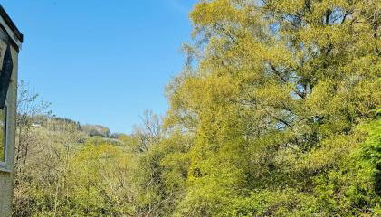 Bryn Gwyn Lodge - Photo 4