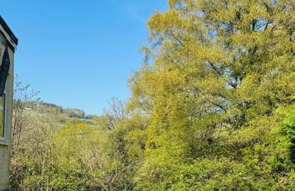 Bryn Gwyn Lodge - Photo 4