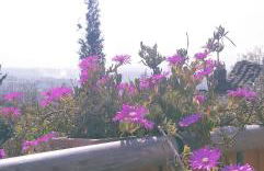 Villa Antico Borghetto Di Tigliano - Foto 55