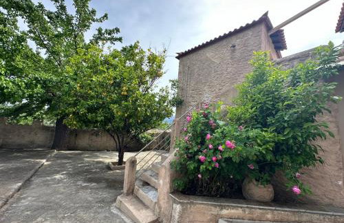 Πυργοσπιτο Χαντζακου - Foto 20