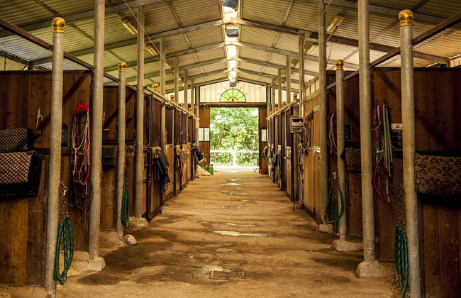 Agriturismo Fattoria Lavacchio - Foto 68