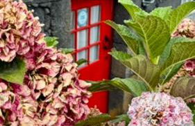 Casa de Sant'ana - Photo 33