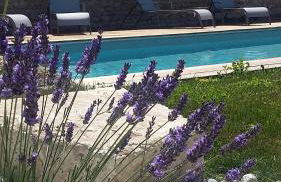 HDC la maison des AMIS - Foto 6