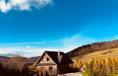 Bieszczady Żubrowe Wzgórze 785-049-543 - Foto 1