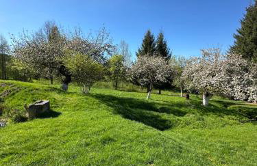 Dom Pod Dębem Agroturystyka - Foto 58