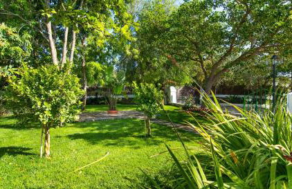 Finca Can Tiro - Foto 50