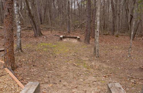 Secluded Cabin - Games, Fire Pit, Hot Tub, Pet OK - Foto 52