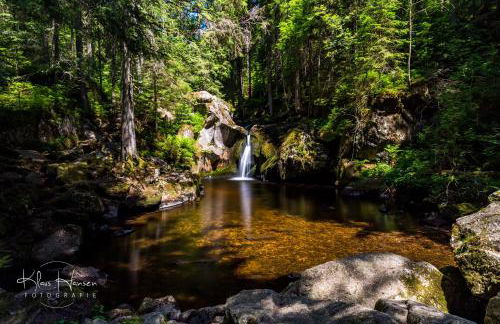 "Chalet H28" mit 4 Schlafzimmer in Todtnau-Muggenbrunn - Foto 27