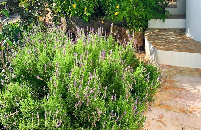 Casa Josephine by Portucasa - Foto 14