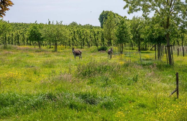 Scherpenheuvel Garden Home - Photo 38