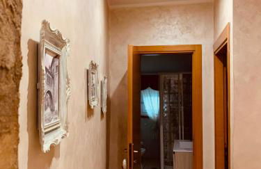 La Candida Rosa L T Anagni - Foto 15