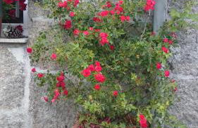 Casa O Torgal - Foto 24