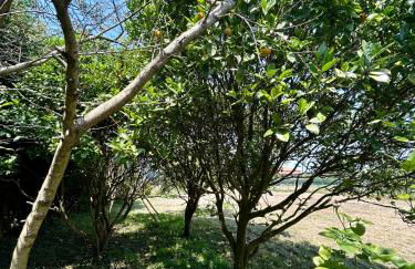 La Ponderosa - Foto 16