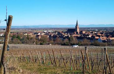 Bergheim Piscine - Foto 7