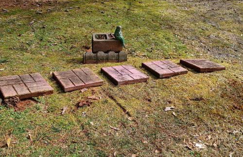 The Treasure House - Foto 78