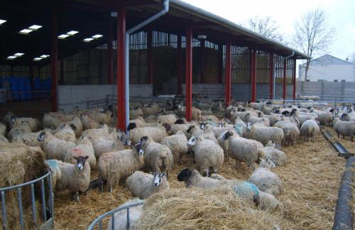 Church Farm - Foto 18