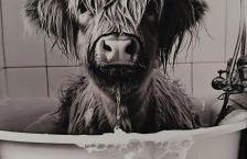 Ben Lomond Cottage - Loch Lomond and Arrochar Alps - Foto 28