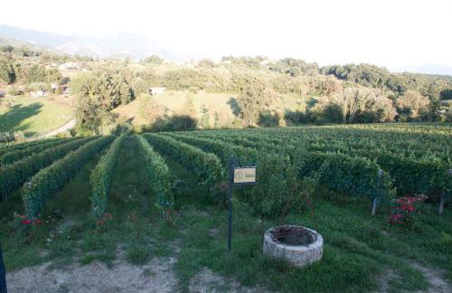 Palazzo Tronconi agriturismo - Foto 18