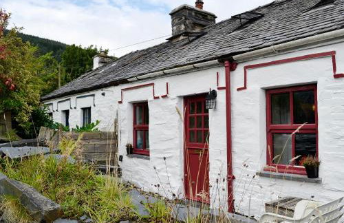 Bryn Rhos Goch - Foto 16