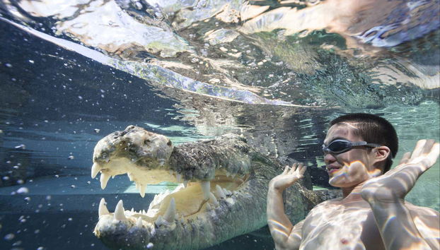 Crocosaurus Cove Ticket - Foto 2