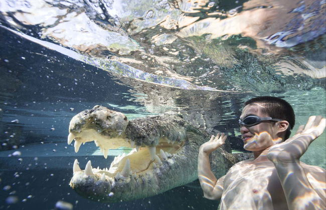 Biglietti per la Crocosaurus Cove - Foto 2