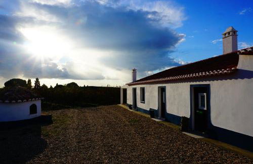 Monte do Pantaleão - Foto 14