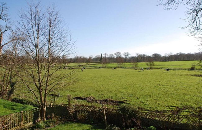 Golden Light Cottage Escape - Foto 40