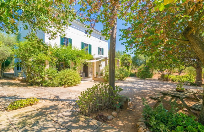 Cas Pilot in Santa Maria del Cam - Photo 20