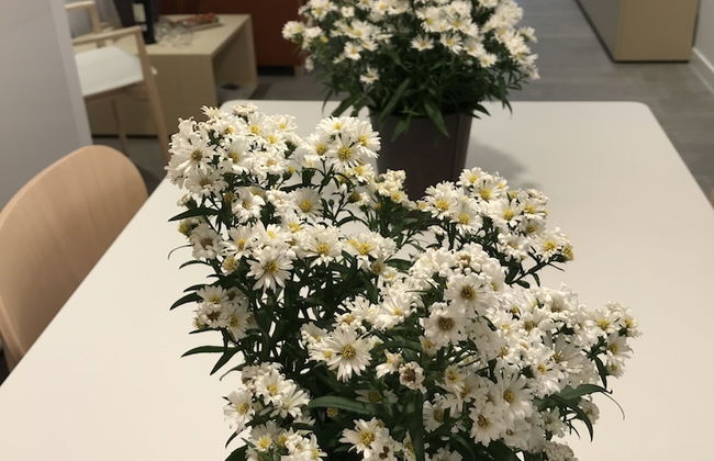 Cosmo Apartaments Marina - Foto 7