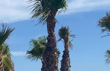 Appartement cosy proche de toute commodité et de la mer - Foto 47