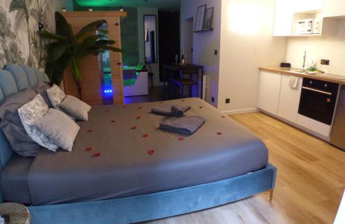 Appartement balnéothérapie et sauna hyper centre - Foto 10