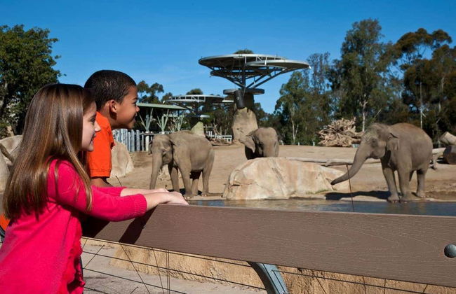 Entrada al Zoo de San Diego - Foto 3