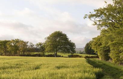 The Heritage Cottage - Foto 29