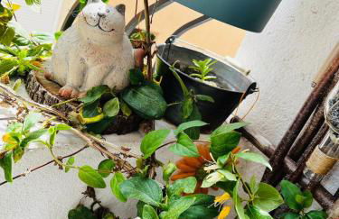 Chez Simone - Foto 26