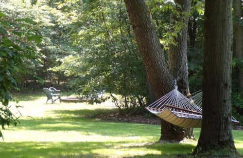 Peaceful Forested 5 Bdrm Near Lake sleeps up to 16 - Photo 11