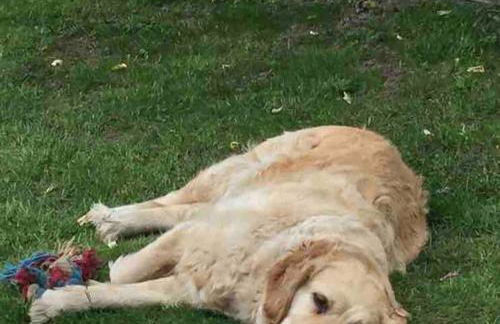 Villa AROHA - Foto 17