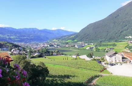 Haus Karin view - Foto 34