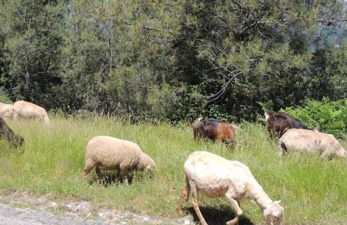 Casa do Forno - Foto 63