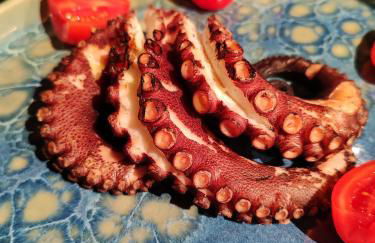 Casa al Mare - Foto 25